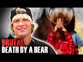 The Tragic End To The Grizzly Man