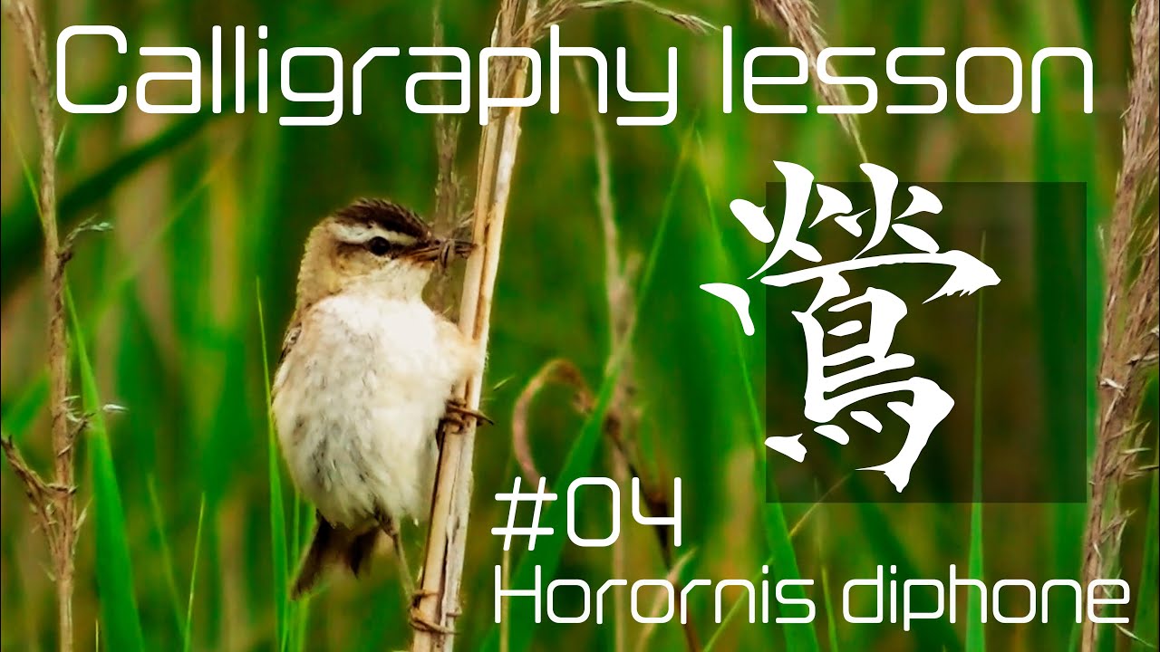 Lesson＃04『鶯』Horornis diphone〈書道/Japan/漢字〉永山玳潤 - YouTube