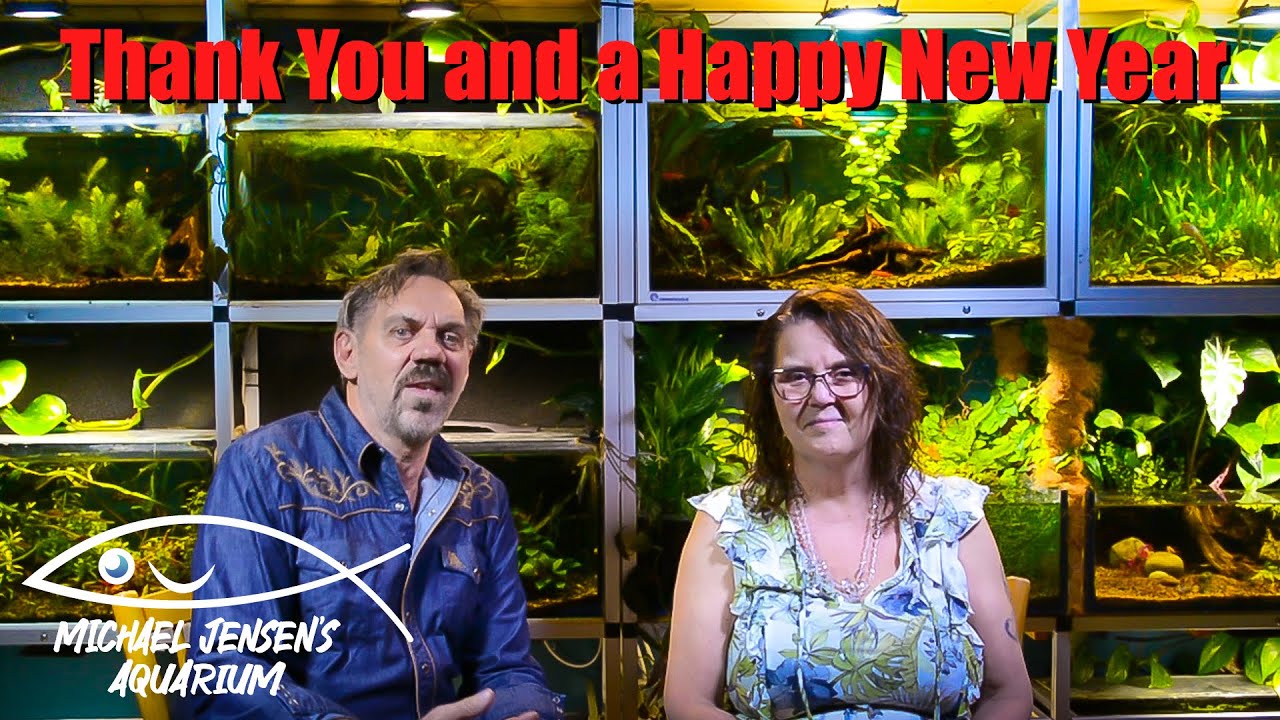 Thank You for your support - and a Happy New Year - YouTube