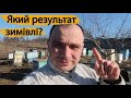 ➤НЕЙМОВІРНО!? ➤Як закінчилась зимівля бджіл? ➤ Що з моїми відводками???