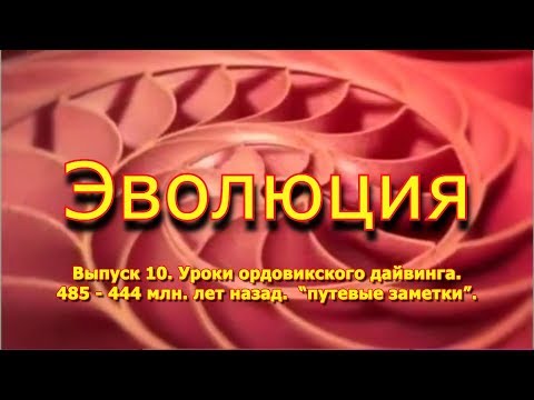 Видео: Что ели граптолиты?