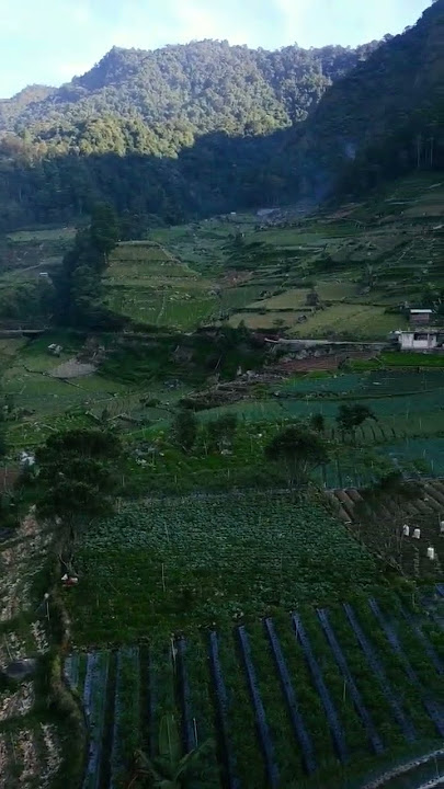 story wa menanti kejujuran