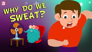 Why Do We Sweat? - The Dr. Binocs Show | Best Learning Videos For Kids | Peekaboo Kidz Resimi