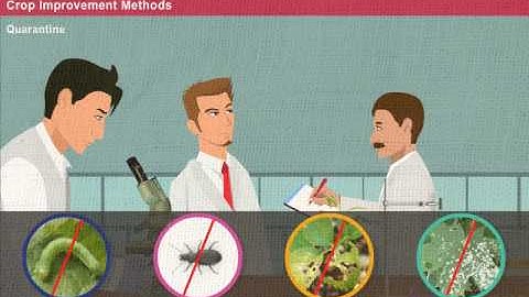 Introduction to Crop Improvement Methods [Year-2]