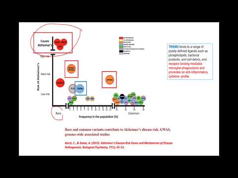 Video Lecture 13 5׃ The Case For Rejecting The Amyloid Cascade Hypothesis Full HD 1080p