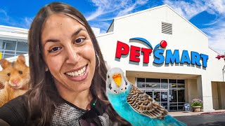 Amerika’da Pet Shop Fiyatları 🐶🐹 Pet Smart