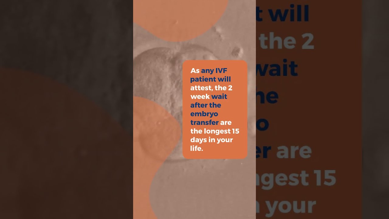 Symptoms After Embryo Transfer