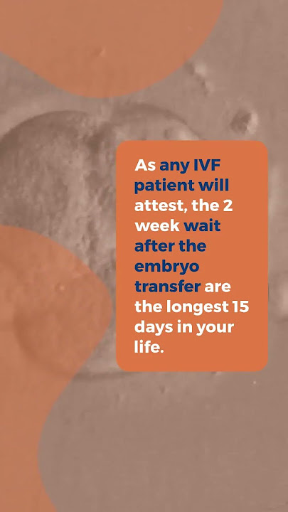 Symptoms after embryo transfer