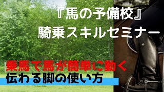 馬に伝わりやすい脚きゃくの使い方 ～乗馬での脚による扶助が与えるメリット・デメリットとは～