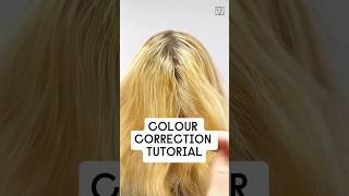 Color correction tutorial #bleachedhair #sanjacaricakarasman #colorcorrection