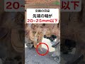 トラクターの爪の交換目安 #shorts