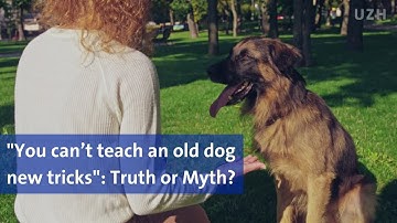 Workouts for the Brain | UZH Spotlight