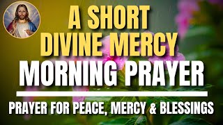 Divine Mercy Chaplet – Saturday May 16, 2026 | Powerful Prayer for Blessing, Healing & Protection  