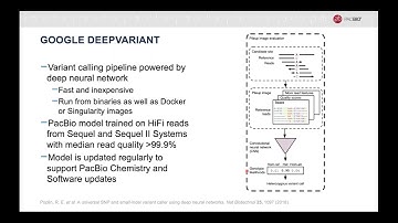 Calling All Variants with HiFi reads