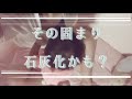 受診前に調べたけど、多分、