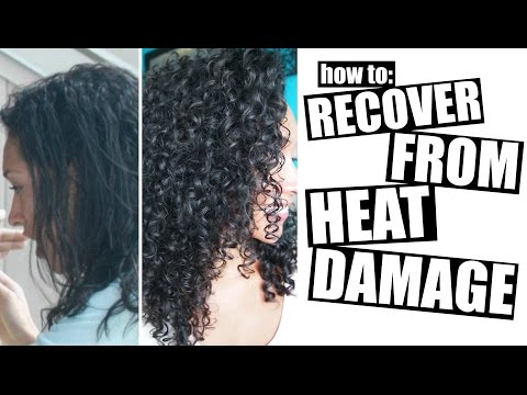 how-to-recover-from-heat-damage-to-healthy-curly-hair