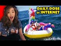 Pokimane reacts to Daily Dose of Internet