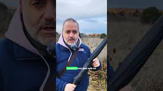 Cardos de zonas humedas