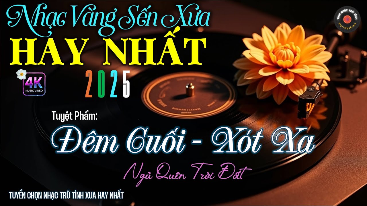 Nhạc TÌNH CA BOLERO Trữ Tình HAY NHẤT, ĐỘC LẠ 2025 - Nhạc Vàng Sến Xưa Chọn Lọc CỰC ÊM TAI DỄ NGHE