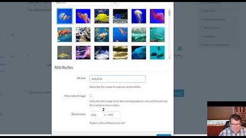 Creating Pages with Rich Content Editor in Canvas