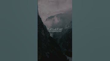 محمد ايوب - سورة طه | انني انا الله لا اله الا انا فاعبدني #تلاوة_خاشعة #آية #قران #محمد_ايوب #تلاوة