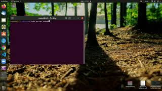 Creating Image Slider when clicking Arrows -  HTML, CSS, JavaScript