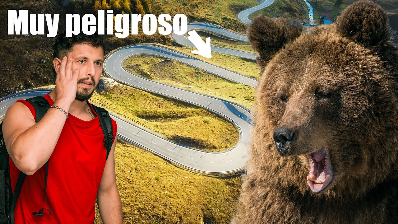 En estas CURVAS los ANIMALES te rodean el coche