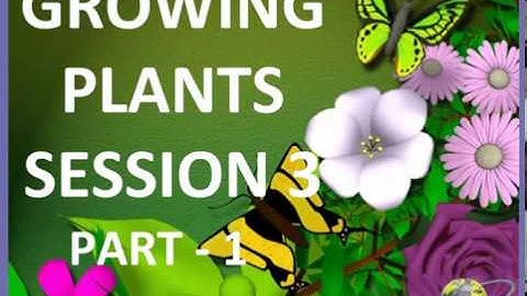 Class 5 Science Growing Plants video session 3 Part 1