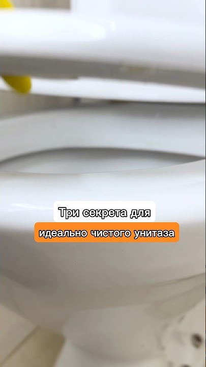 3 Cara untuk Membersihkan Toilet - wikiHow