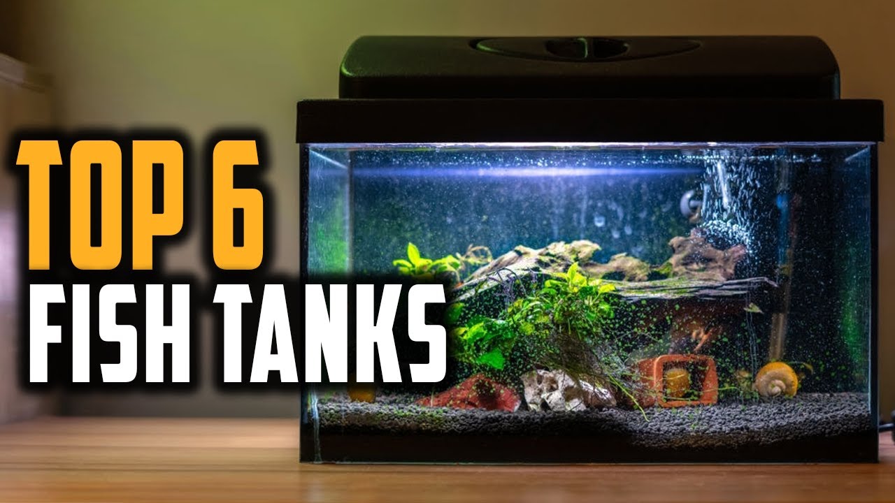 Best Fish Tanks 2024  Top 6 Most Popular Fish Tank For Aquarium
