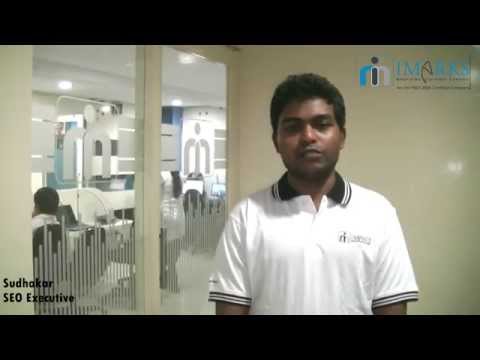 SEO Executive | IMarks Digital Solutions