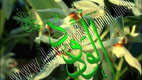 سورة الانسان من صلاة التراويح من مسجد البر للأخ ابو أبو جعفر