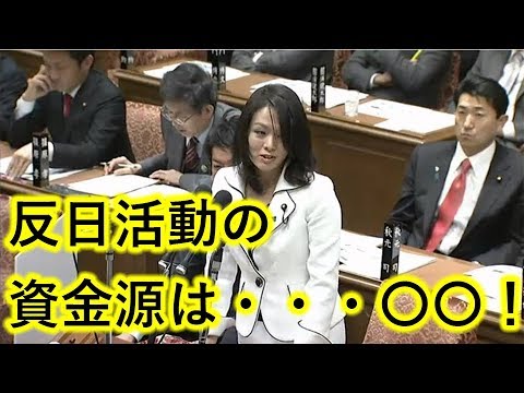 杉田水脈が沖縄パヨクの資金源を暴露で騒然！在日も崩壊するヤバい事実が追及され騒然！