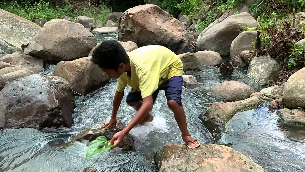BOCAH PETUALANG - ANAK DONGGO DI BUKIT JAGUNG (24/4/17) 3-2