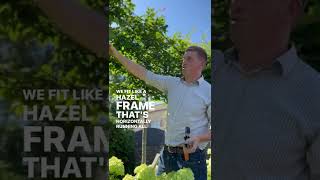 John’s Gardening How-To’s - Training a Pleached Hedge