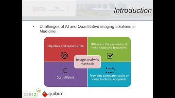Webinar 14 Transforming images into meaningful data through AI and imaging biomarker A.A-Bayarri