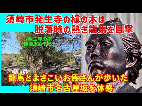 後期高齢者初めてのマウンテンバイクで龍馬脱藩路にアタック