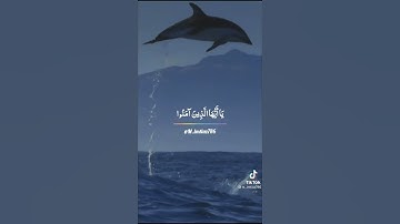 سوره الاحزاب❤️ حالات واتس❤️