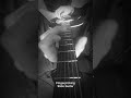 Fingerpicking Slide Guitar