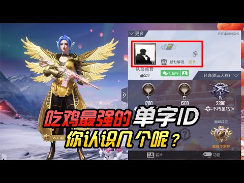 揭秘和平精英:吃鸡中罕见的单字ID...最后一个账号皮肤加 ID 价值最少600w...｜游戏揭秘