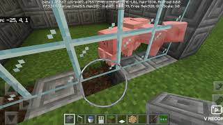 Minecraft aki tüm hayvanlarla hayvanat bahçesi yaptım (Dünyada İlk)