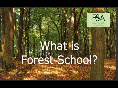 What is Forest  School?