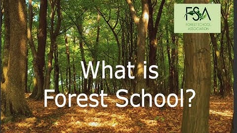 What is Forest  School?