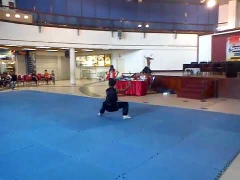 miri wushu 2012