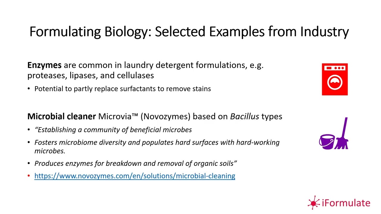 iFormulate Revisited: Formulating Biology (ChemUK2024)