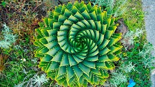Ancient / Modern Geometry