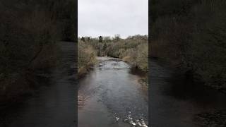 River Views