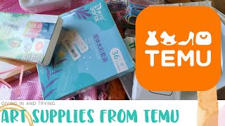Never Again The Ups And Downs Of Buying From Temu- Art Supply Haul Concerns