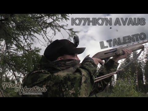 Video: Mistä kyyhkysen löytyy?