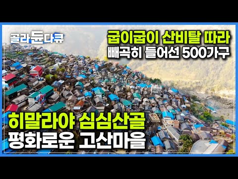 네팔 <strong>소수민족</strong> 구룽족이 농사로 자급자족하며 살아가는 평화로운 고산마을┃히말라야 오지 마을에서 현지인처럼 살아보기┃세계테마기행┃#골라듄다큐